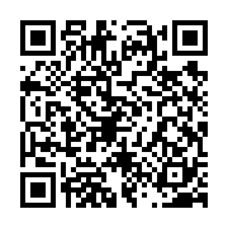 QR code for 46ZV303