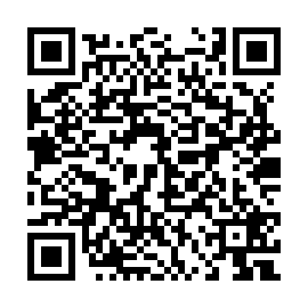 QR code for 46ZZ290