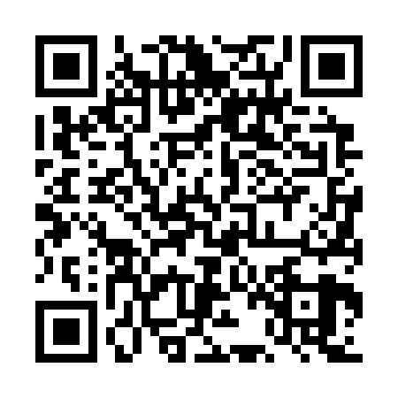 QR code for 4BF3295