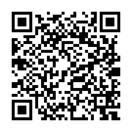 QR code for 4CPY993