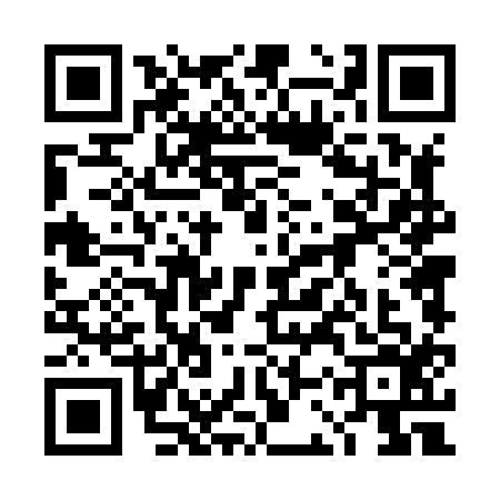 QR code for 4CT8161