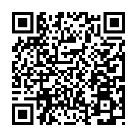 QR code for 4D0294H