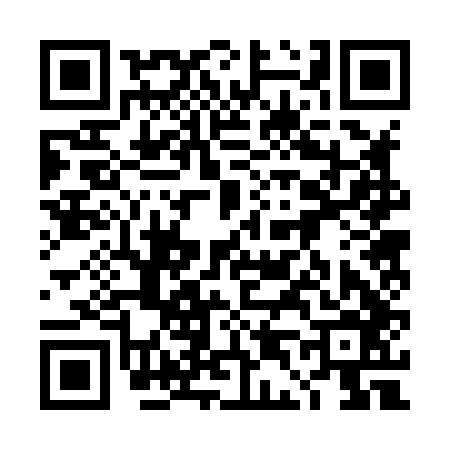 QR code for 4D2846H