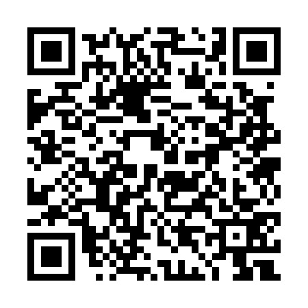 QR code for 4D30739