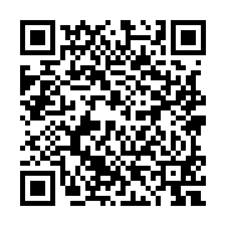 QR code for 4D9191T