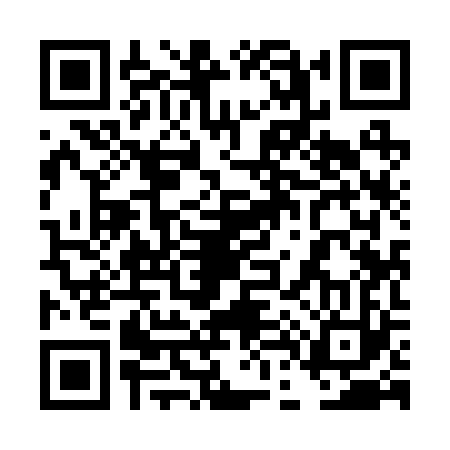 QR code for 4D9223T