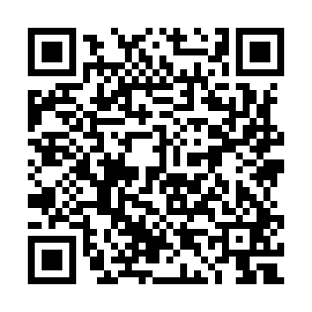 QR code for 4D9941G