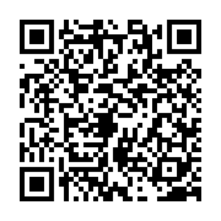 QR code for 4DF0699