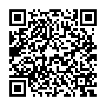 QR code for 4DKC546
