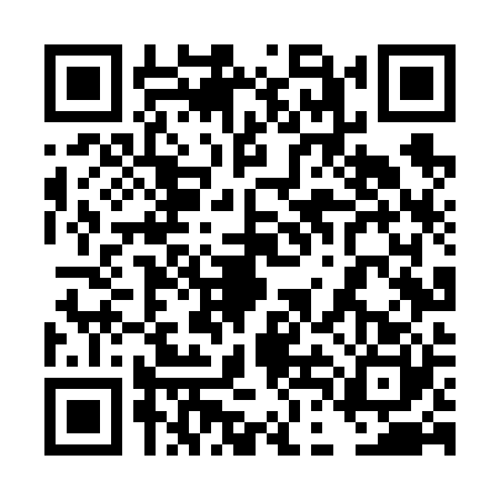 QR code for 4DLV206
