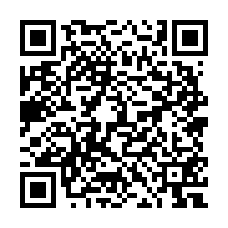 QR code for 4DM6519