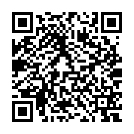 QR code for 4DNS613