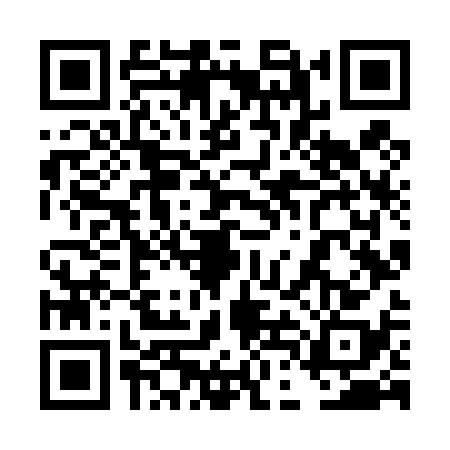 QR code for 4DNT384
