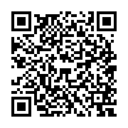 QR code for 4DP2411