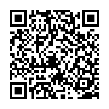 QR code for 4DS8498