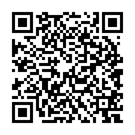 QR code for 4DT2006