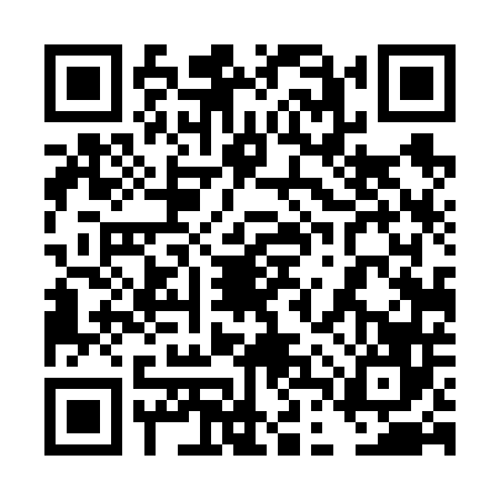 QR code for 4DT6463