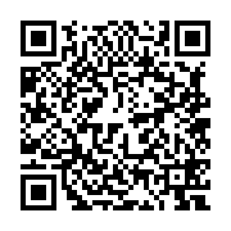 QR code for 4G2868P