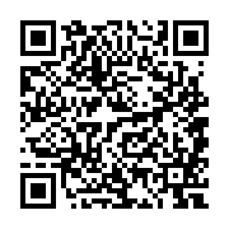 QR code for 4G63855