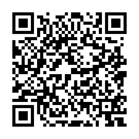 QR code for 4G87110
