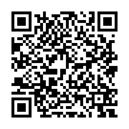 QR code for 4G91233