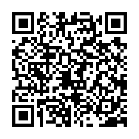 QR code for 4H06313