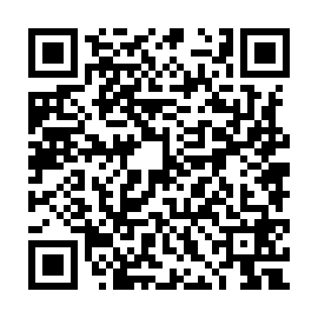 QR code for 4HN9685