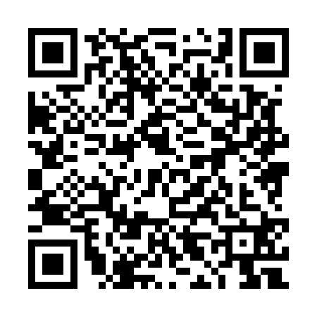 QR code for 4L85207