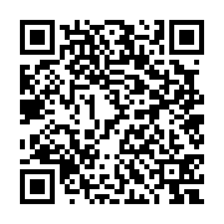 QR code for 4LG0313