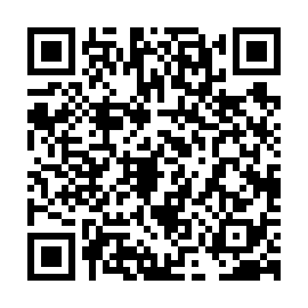 QR code for 4MP6383