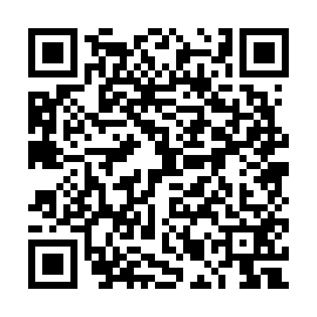QR code for 4MP6529