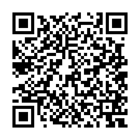 QR code for 4N20411
