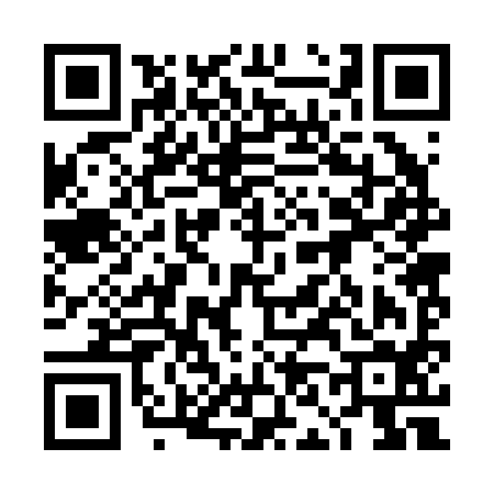 QR code for 4N2294J