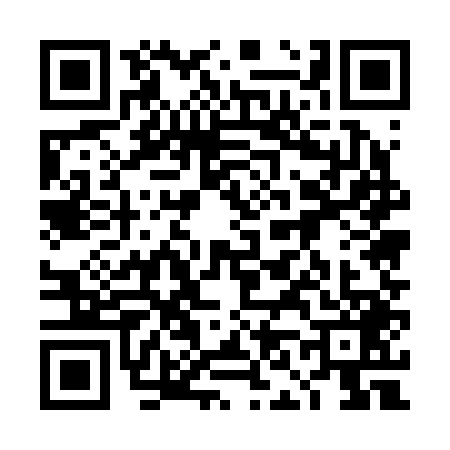 QR code for 4N52495