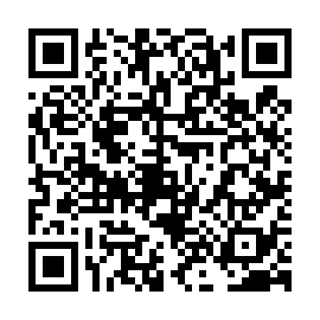 QR code for 4N6438H