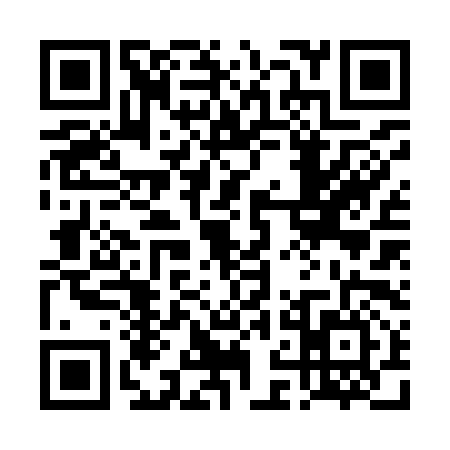 QR code for 4NB9963