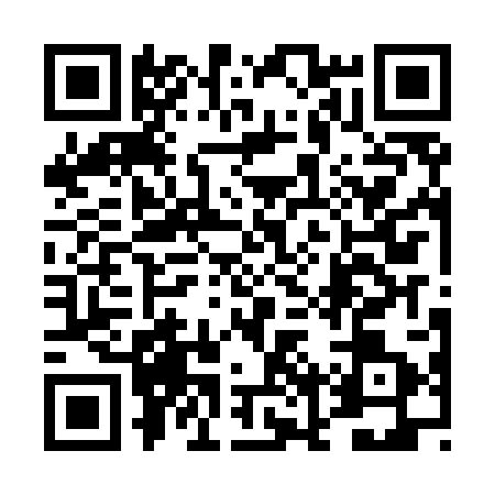 QR code for 4NPM038