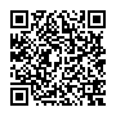 QR code for 4P08287