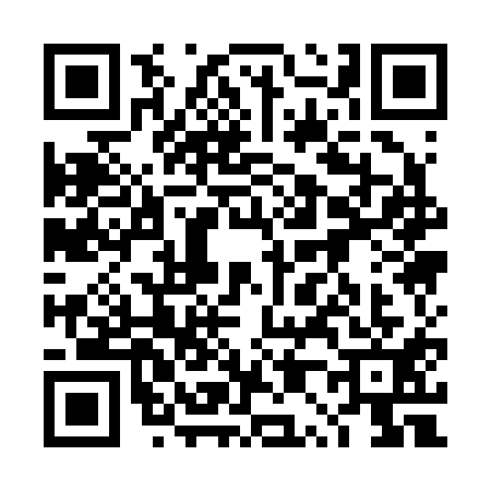 QR code for 4P12110