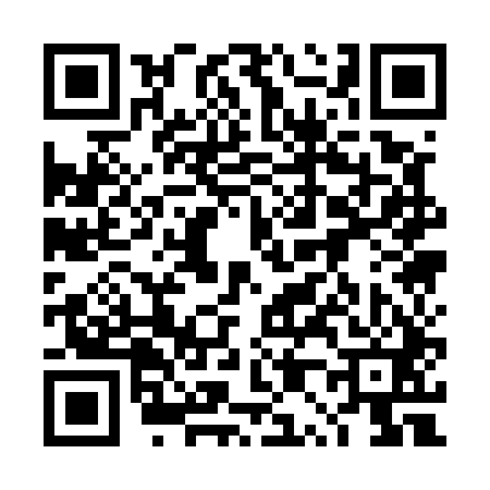 QR code for 4P1541S