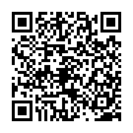 QR code for 4P1755L