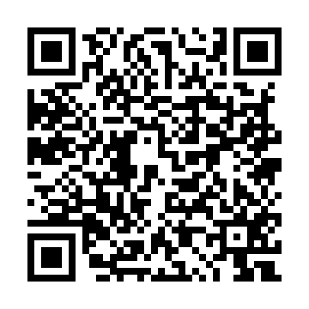 QR code for 4P1955L