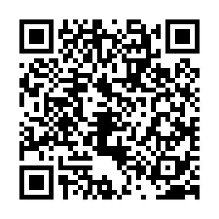 QR code for 4P2038H