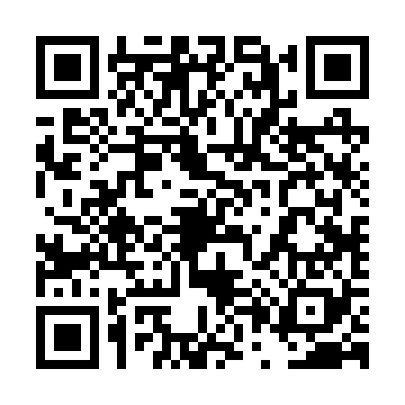 QR code for 4P2228A