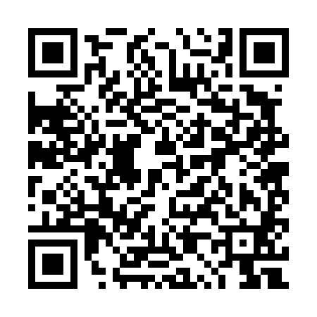 QR code for 4P2480C
