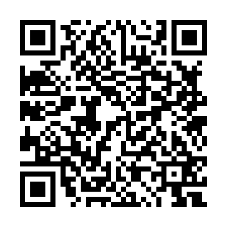 QR code for 4P3823J