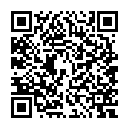 QR code for 4P46564