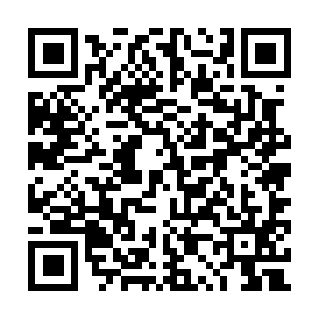 QR code for 4P50955