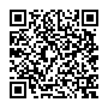 QR code for 4P54317