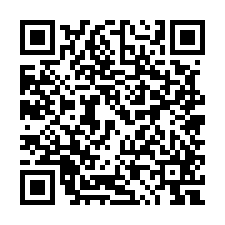 QR code for 4P5545S